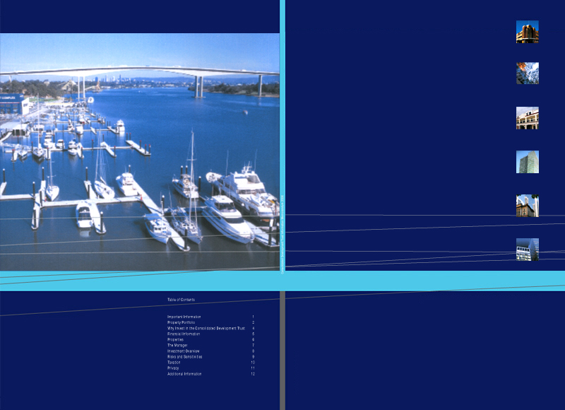 Trinity Group - Information memorandum cover designs